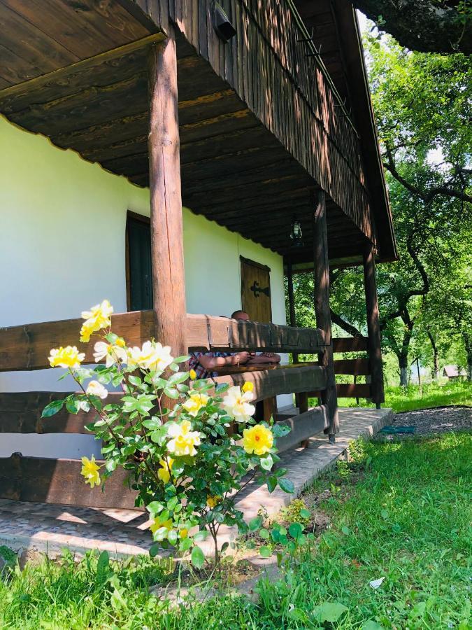 Еко Дім З Соломи Βίλα Solochin Εξωτερικό φωτογραφία