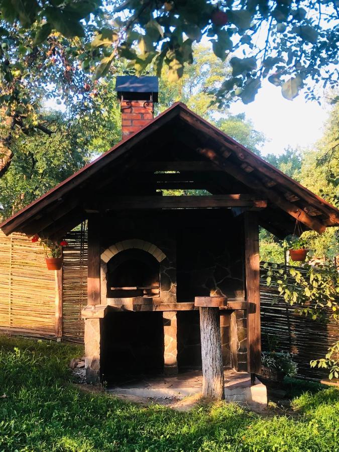 Еко Дім З Соломи Βίλα Solochin Εξωτερικό φωτογραφία