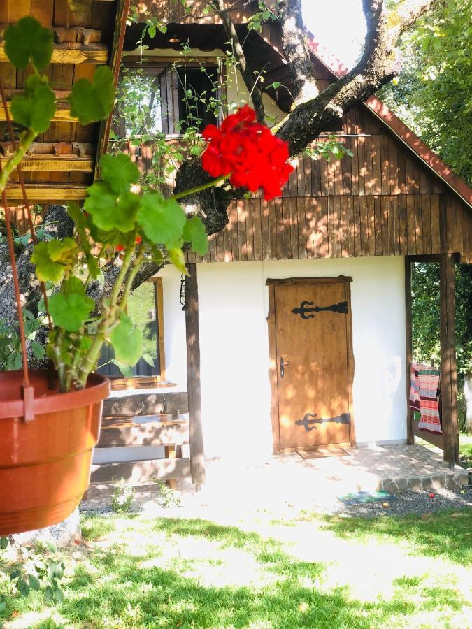 Еко Дім З Соломи Βίλα Solochin Εξωτερικό φωτογραφία