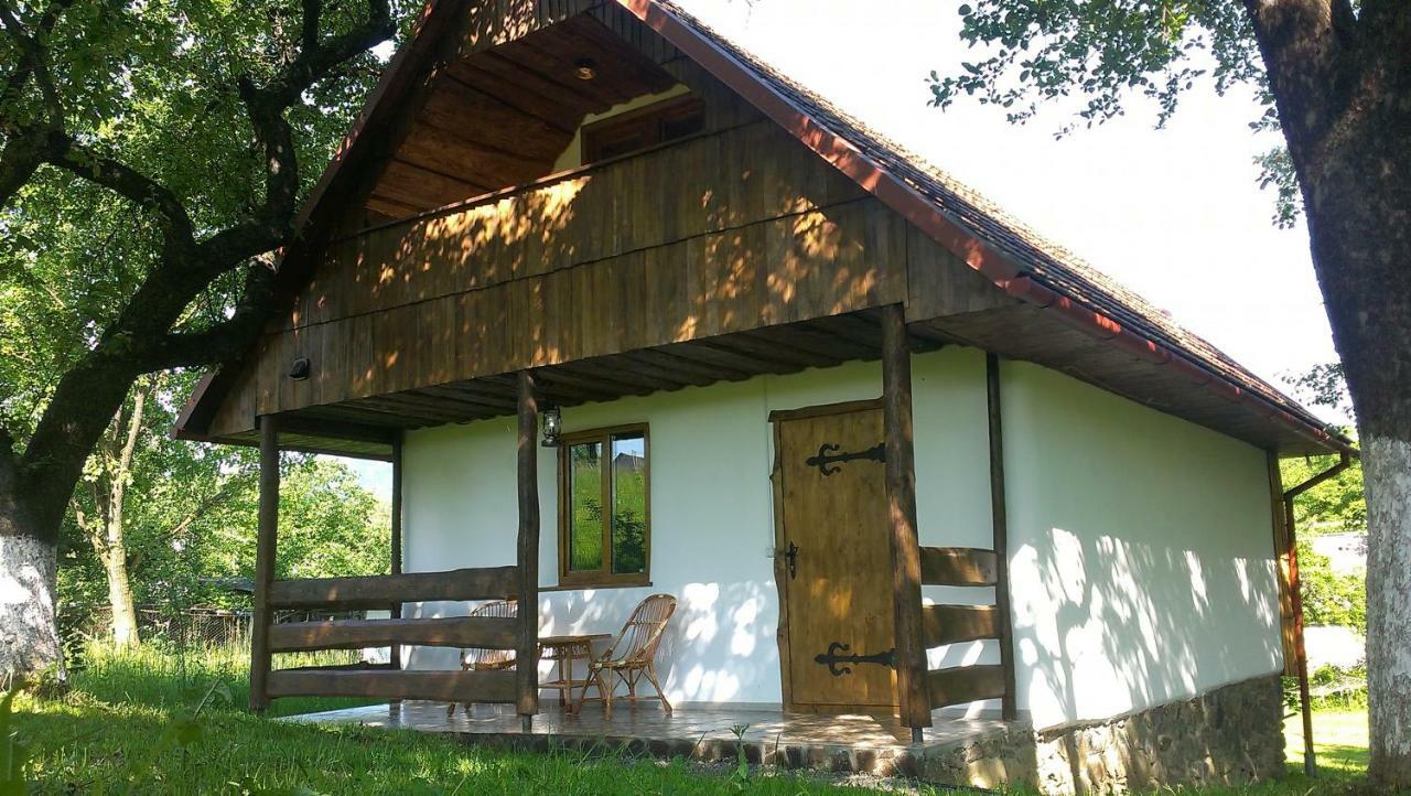Еко Дім З Соломи Βίλα Solochin Εξωτερικό φωτογραφία